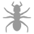 Ants